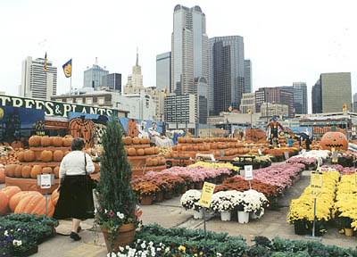 Dallas Market