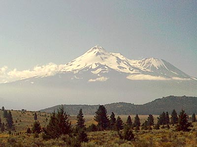 shasta.jpg